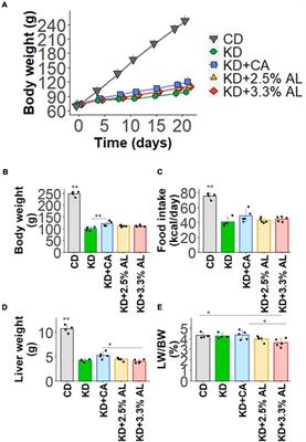 Leucine-Enriched Essential Amino Acids Enhance the Antiseizure Effects of the Ketogenic Diet in Rats